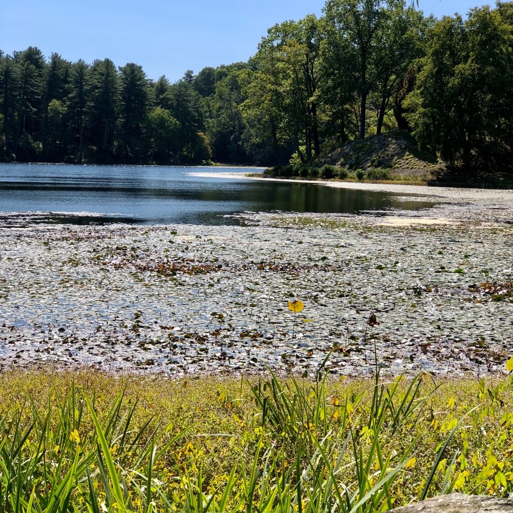 Meet your Posher, Min